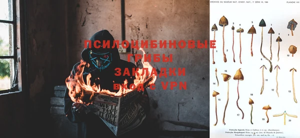 a pvp Баксан