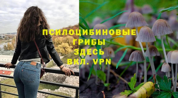 a pvp Баксан