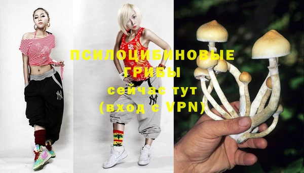 a pvp Баксан