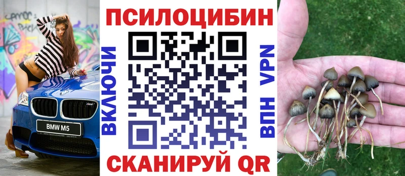 Галлюциногенные грибы Magic Shrooms Лесозаводск